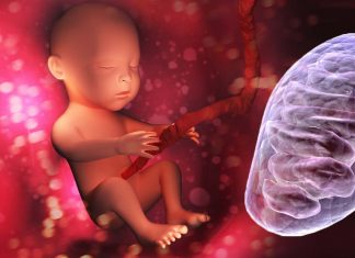 MitoQ could treat low oxygen levels in the womb due to pregnancy complications and prevent heart disease in adulthood