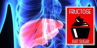 Excessive consumption of fructose can result in non-alcoholic fatty liver disease (NAFLD)
