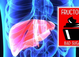 Excessive consumption of fructose can result in non-alcoholic fatty liver disease (NAFLD)