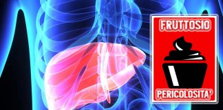 Un consumo eccessivo di fruttosio può provocare steatosi epatica non alcolica (NAFLD)