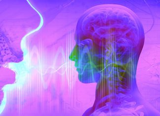 Non-invasive stimulation of the vagus nerve boosts learning of foreign language sounds