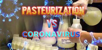 Human milk: Pasteurization inactivates COVID-19 – Cold storage doesn’t inactivate the virus