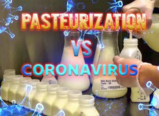 Human milk: Pasteurization inactivates COVID-19 – Cold storage doesn’t inactivate the virus