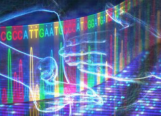 Polygenic Risk Score (PRS) help to identify more accurately who is at high risk of breast cancer