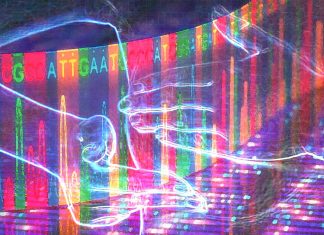 Il punteggio di rischio poligenico (PRS) aiuta a identificare più accuratamente chi è ad alto rischio di cancro al seno