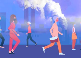 Implications of air pollution on brain development and neurological health in children and older women