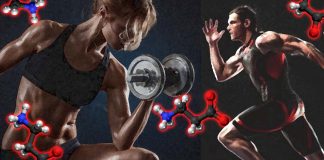 Competitive sports : Carnosine and its precursor beta-alanine increase muscle strength