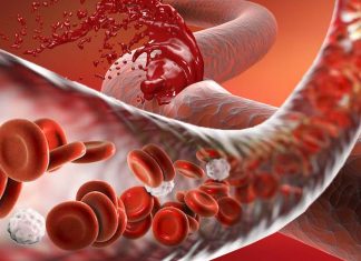Polymer-peptide conjugate called HAPPI can reduce 99 percent in bleeding time and a 97 percent reduction in blood loss