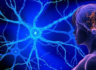 Researchers identifies a link between women with catamenial epilepsy and drug-resistant epilepsy