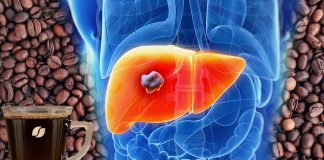 Due tazze di caffè al giorno possono ridurre del 38% il rischio di sviluppare un cancro al fegato