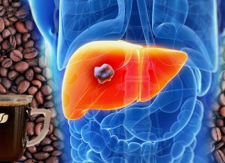 Due tazze di caffè al giorno possono ridurre del 38% il rischio di sviluppare un cancro al fegato