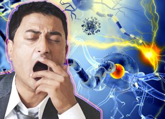 What is the link between fatigue and multiple sclerosis?