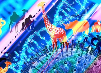 Genomic analysis reveals about 40 percent animal species susceptible to SARS-CoV-2 may be vulnerable to human-to-animal transmission