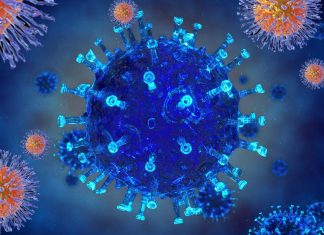 Researchers used new gene editing approach to remove at least 90% latent herpes simplex virus 1