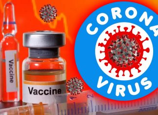Israel Institute for Biological Research (IIBR) expect to begin human trials for the COVID-19 vaccine