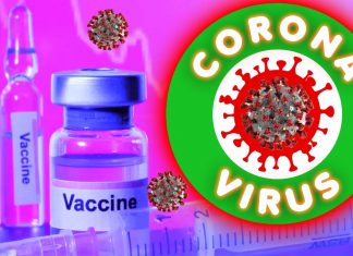 L’Istituto israeliano per la ricerca biologica (IIBR) prevede di iniziare la sperimentazione umana per il vaccino COVID-19