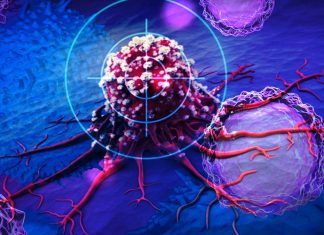 Standard immunotherapy drug can be enhanced by blocking the protein TREM2 resulting in complete elimination of tumors