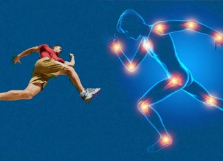 Researchers discovered a way to regenerate the cushion of cartilage found in joints