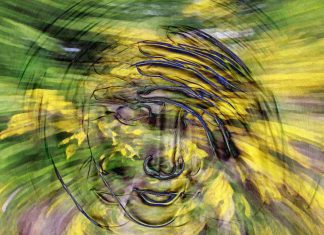 Twice daily vitamin D supplementation reduces symptoms of vertigo for those suffering BPPV
