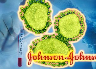 Il vaccino SARS-CoV-2 basato su Ad26 della BIDMC e Johnson & Johnson ha fornito una solida protezione agli animali