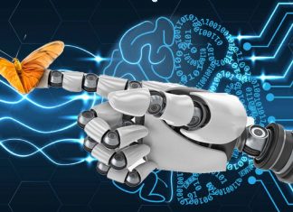 Biomimetic hand prosthesis : Italian researchers replicate the key biological properties of the human hand