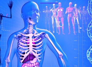 Bone growth is affected by ambient temperature