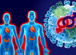 COVID-19 : Estradiol – Progesterone are associated with immunomodulation