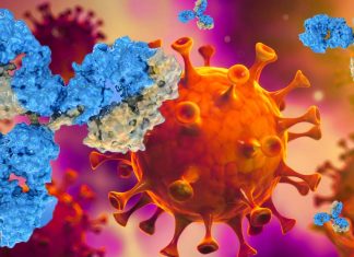 COVID-19: A mix of ultrapotent antibodies from recovered COVID-19 patients lock down the infection machinery