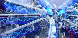 New rapid and portable COVID-19 molecular test can be a point-of-care diagnosis without needing to send samples to a lab