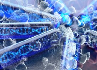 New rapid and portable COVID-19 molecular test can be a point-of-care diagnosis without needing to send samples to a lab