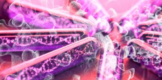 Il nuovo test molecolare rapido e portatile COVID-19 può essere un point-of-care di diagnosi senza la necessità di inviare campioni a un laboratorio