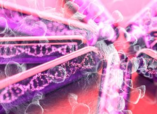 Il nuovo test molecolare rapido e portatile COVID-19 può essere un point-of-care di diagnosi senza la necessità di inviare campioni a un laboratorio