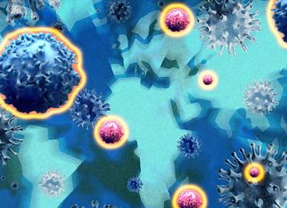 COVID-19 spread: Children can have antibodies and virus in their system simultaneously