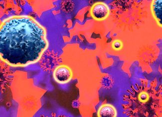 Diffusione di COVID-19: i bambini possono avere anticorpi e virus nel loro sistema contemporaneamente