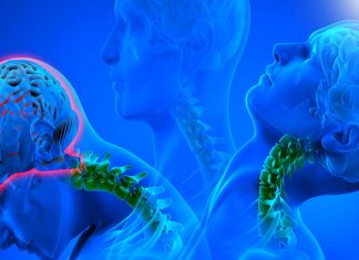Anche le commozioni cerebrali lievi causano danni gravi e duraturi nella capacità del cervello di purificarsi dalle tossine