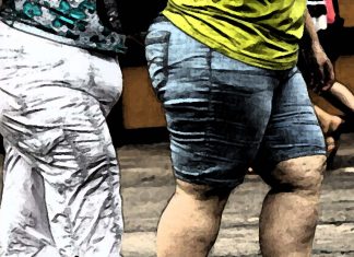 Fgr protein inhibitors can treat obese and/or metabolic syndrome patients