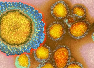 Middle-aged individuals may be in a perpetual state of H3N2 influenza virus susceptibility