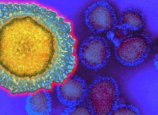 Gli individui di mezza età possono essere in uno stato perpetuo di suscettibilità al virus dell’influenza H3N2