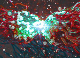 Lack of oxygen leads to more metastases