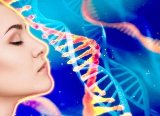 A newly identified genetic factor allows adult skin to repair itself like the skin of a newborn babe