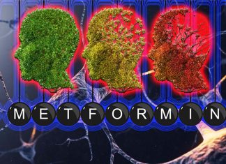 Metformin slows cognitive decline and reduces dementia risk in older people with diabetes