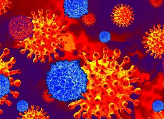 A strong SARS-CoV-2 specific T cell response is predictive of milder disease