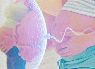Women who are fertile for more than 38 years have a higher risk of developing dementia
