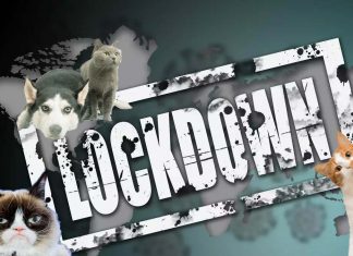 COVID-19 lockdown : pets can maintaining better mental health and reducing loneliness