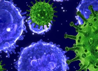 Individuals with mild COVID-19 have a different pattern of T cell response