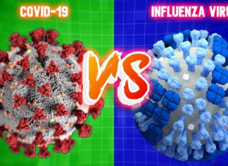 COVID-19 vs Seasonal Influenza A and B : Comparison of Clinical Features