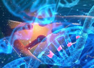 Research highlights widespread epigenetic defects in the human genome