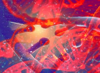 La ricerca evidenzia difetti epigenetici diffusi nel genoma umano