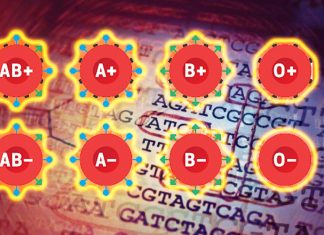 The genetics of blood: What’s the risk of different human populations to develop a disease?