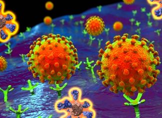 The minimal mutation of SARS-CoV-2 since December 2019 suggests a global vaccine is feasible